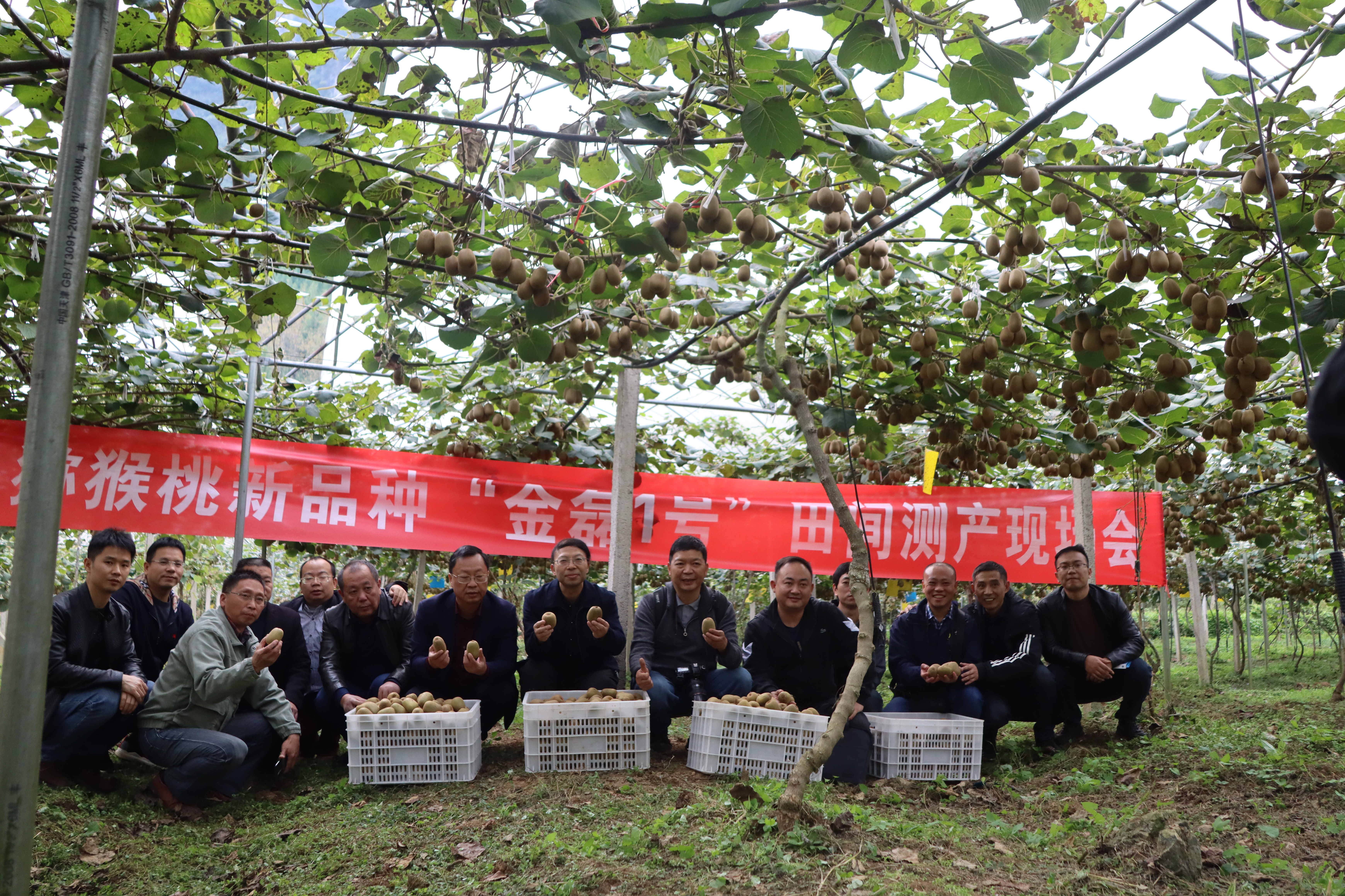 1635314883415069511.jpg 1.jpg