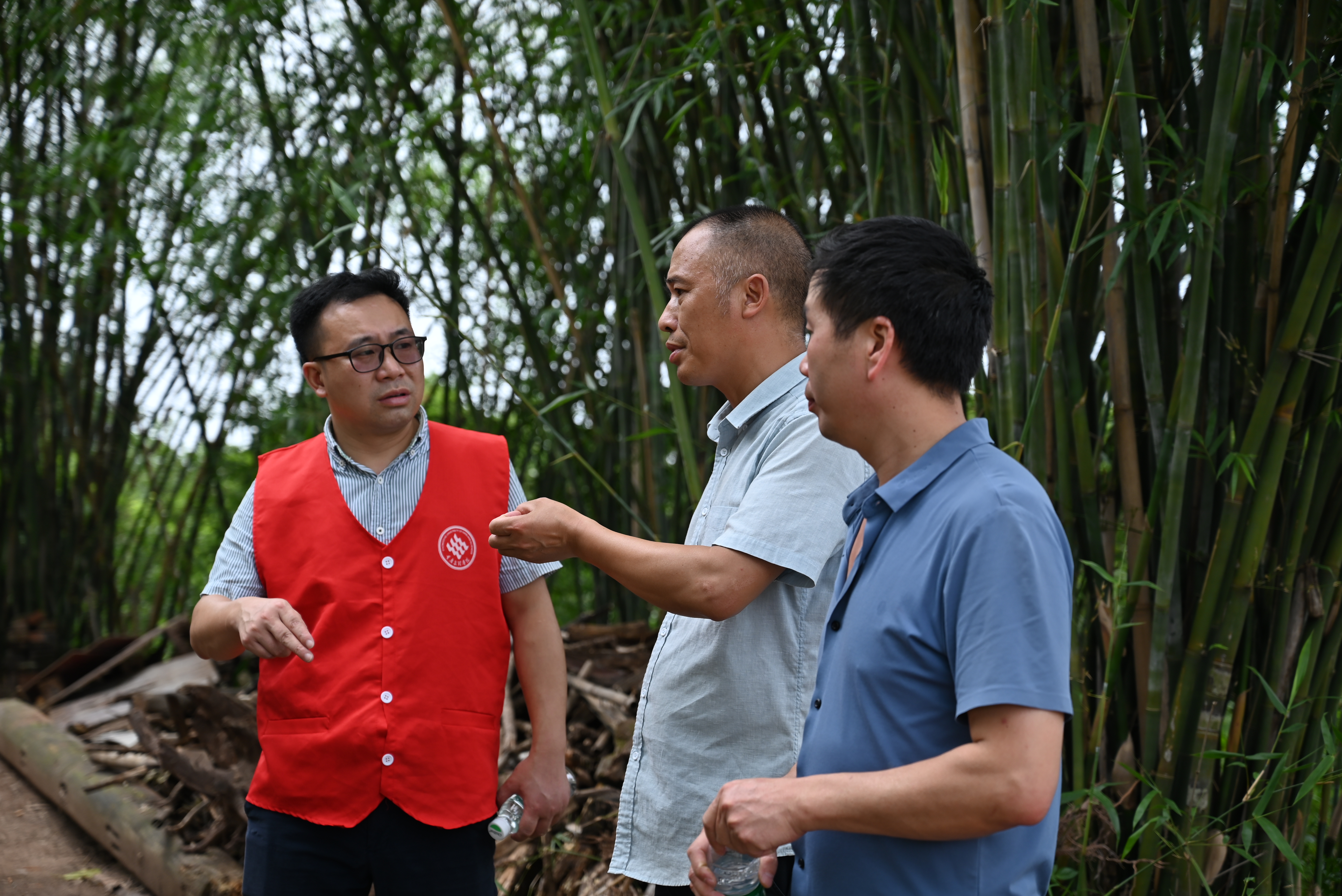 jbsM_1689171593303051909.jpg DSC_5784.jpg