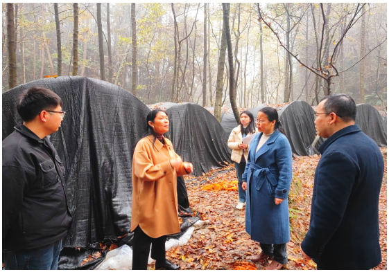 OhEt_1702364849754011991.png QQ截图20231212150712.png