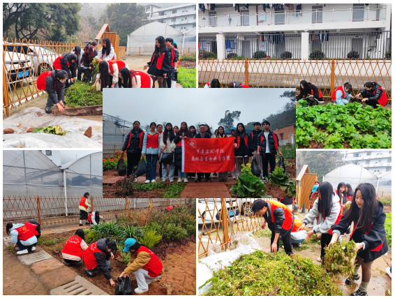 FxUm_1710205563966069985.png QQ截图20240312090538.png