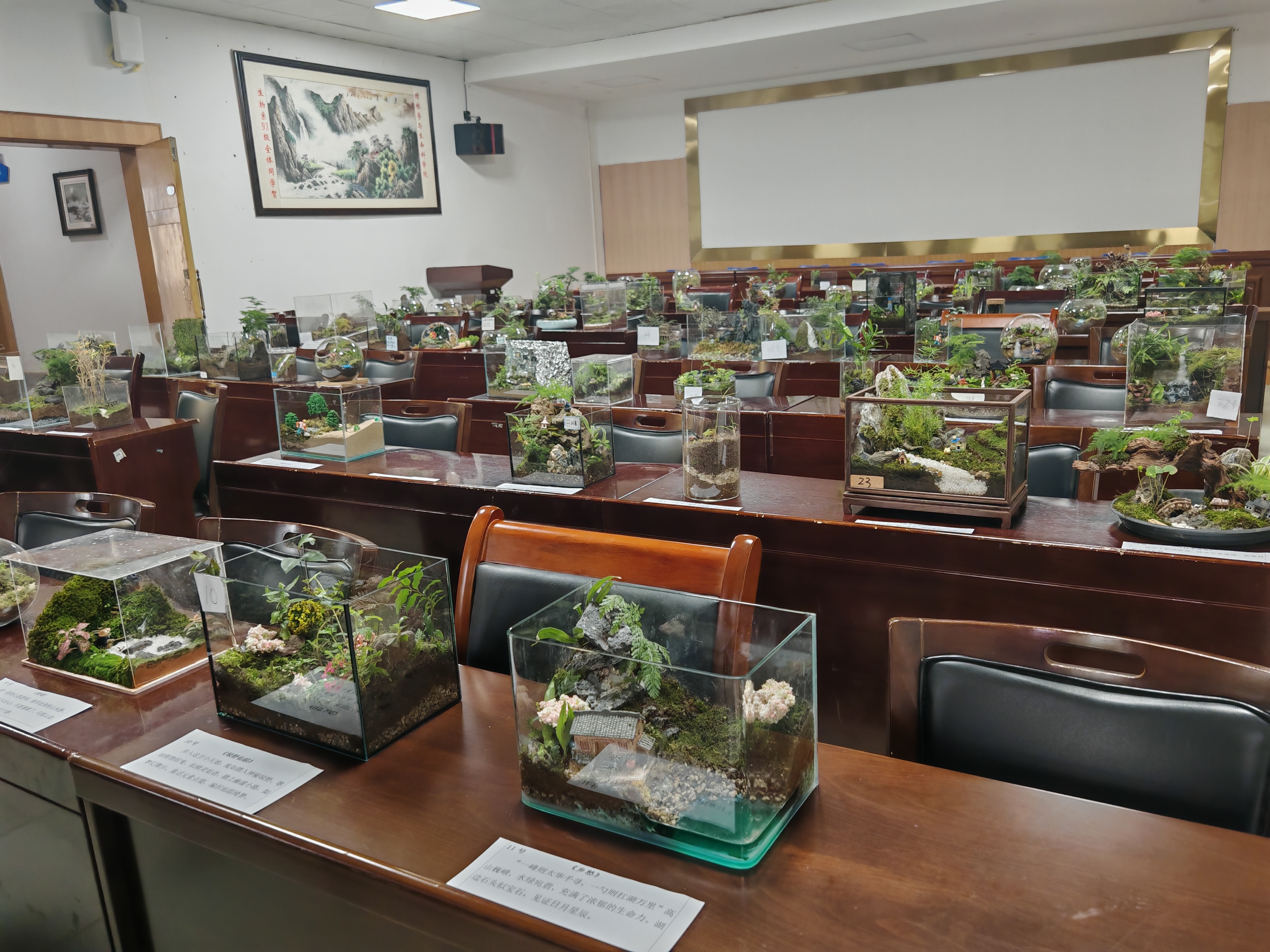 ETab_1730683832287015938.jpg IMG_20241101_130702.jpg