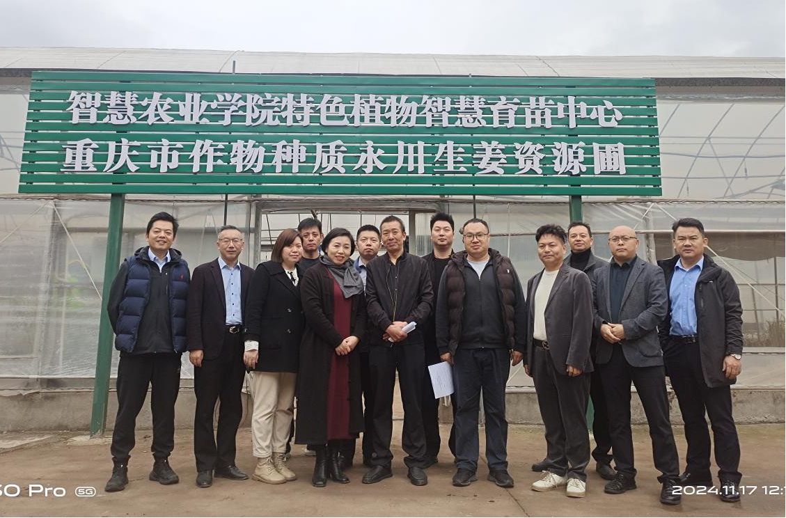 sLdp_1731910503451082255.png 图片3.png