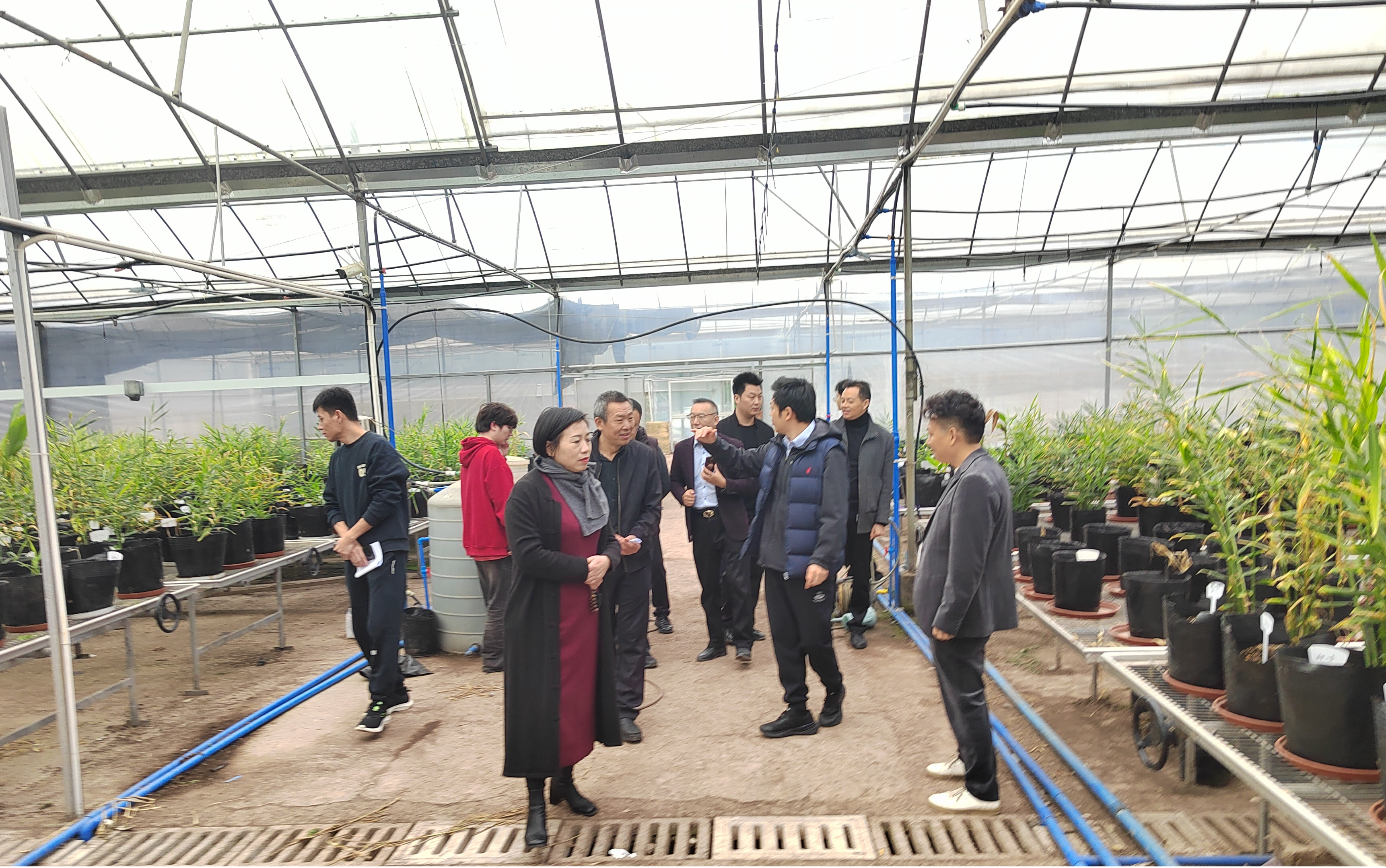 wbQA_1731910490684020522.png 图片2.png