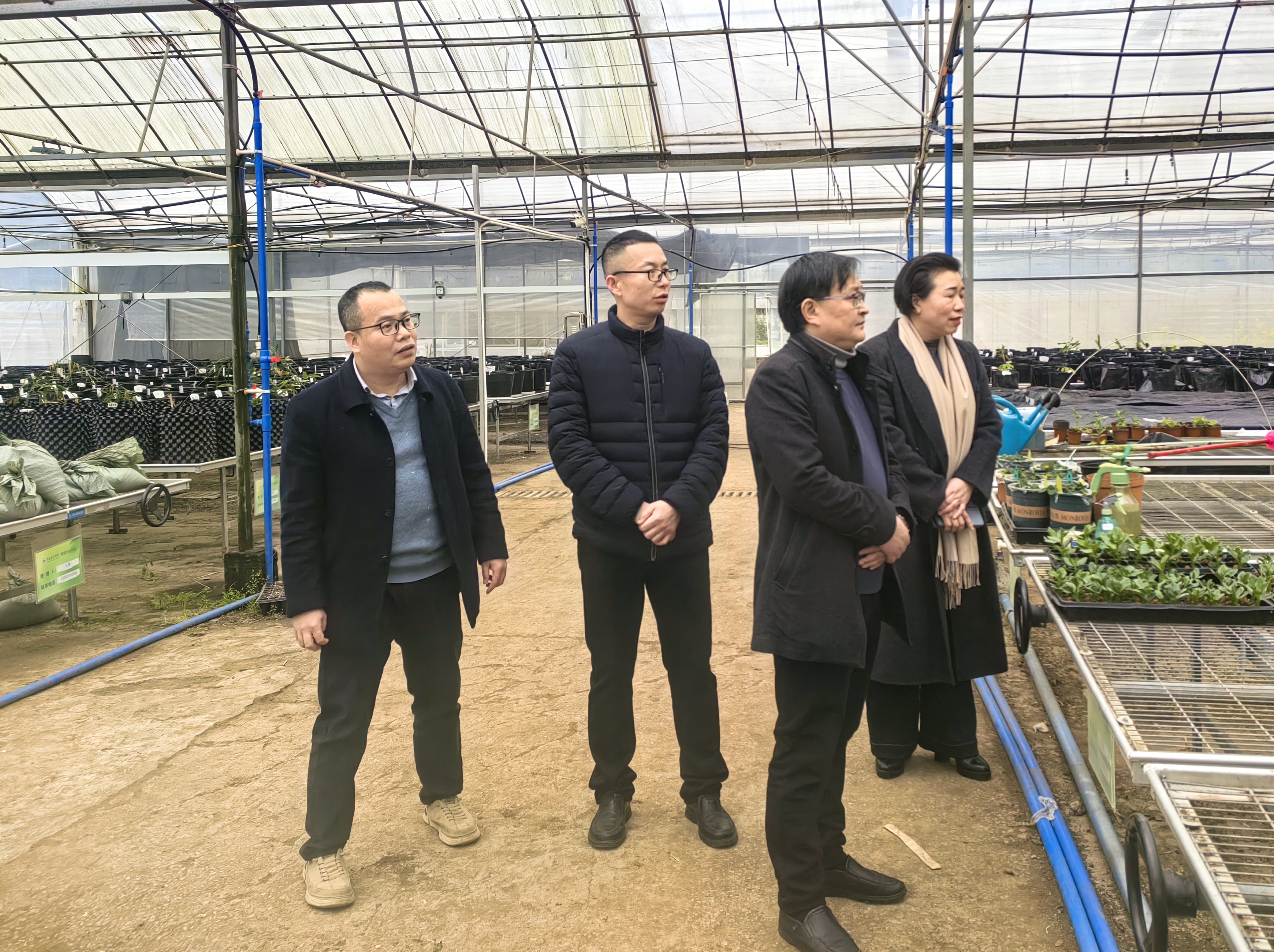 fgPT_1743475113875092141.jpg QQ图片20250401103802.jpg