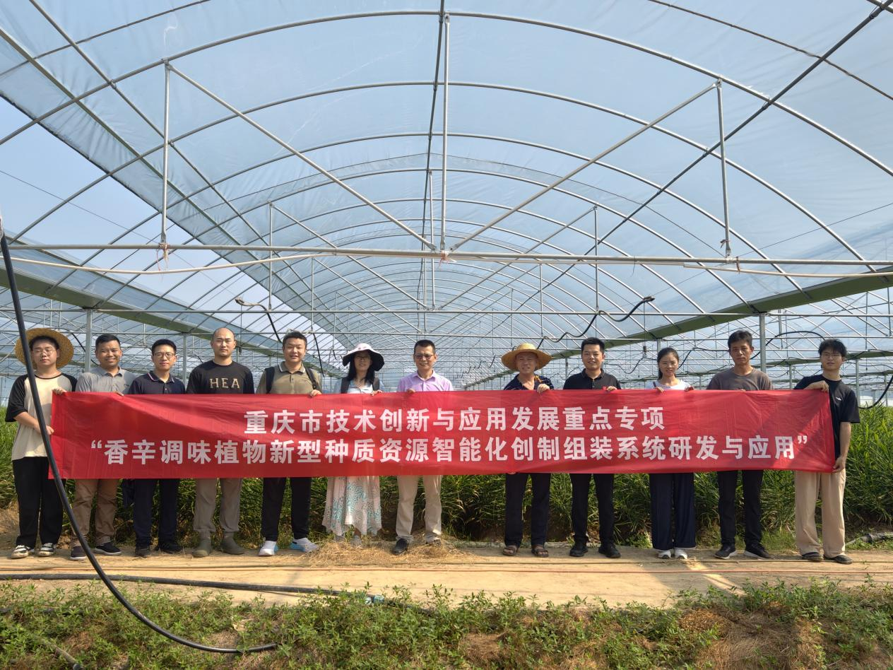 wPZQ_1760257984945002700.png 图片1.png