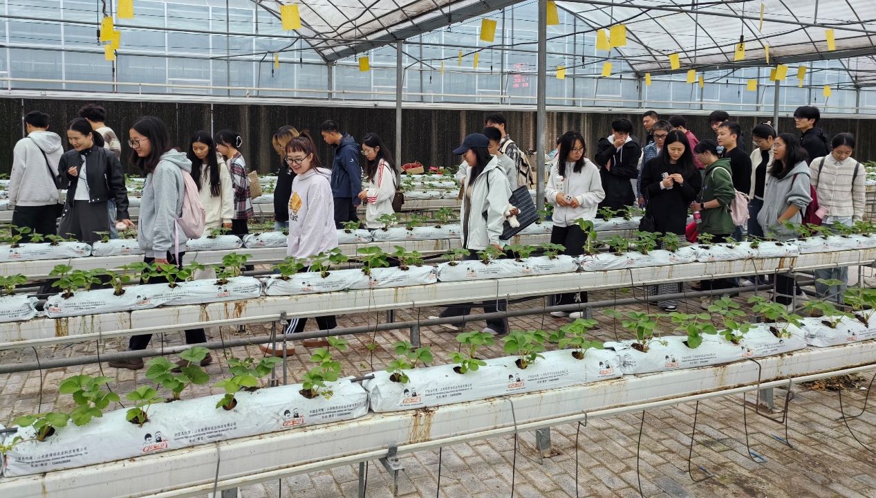 mWip_1761552078351035058.png 图片7.png