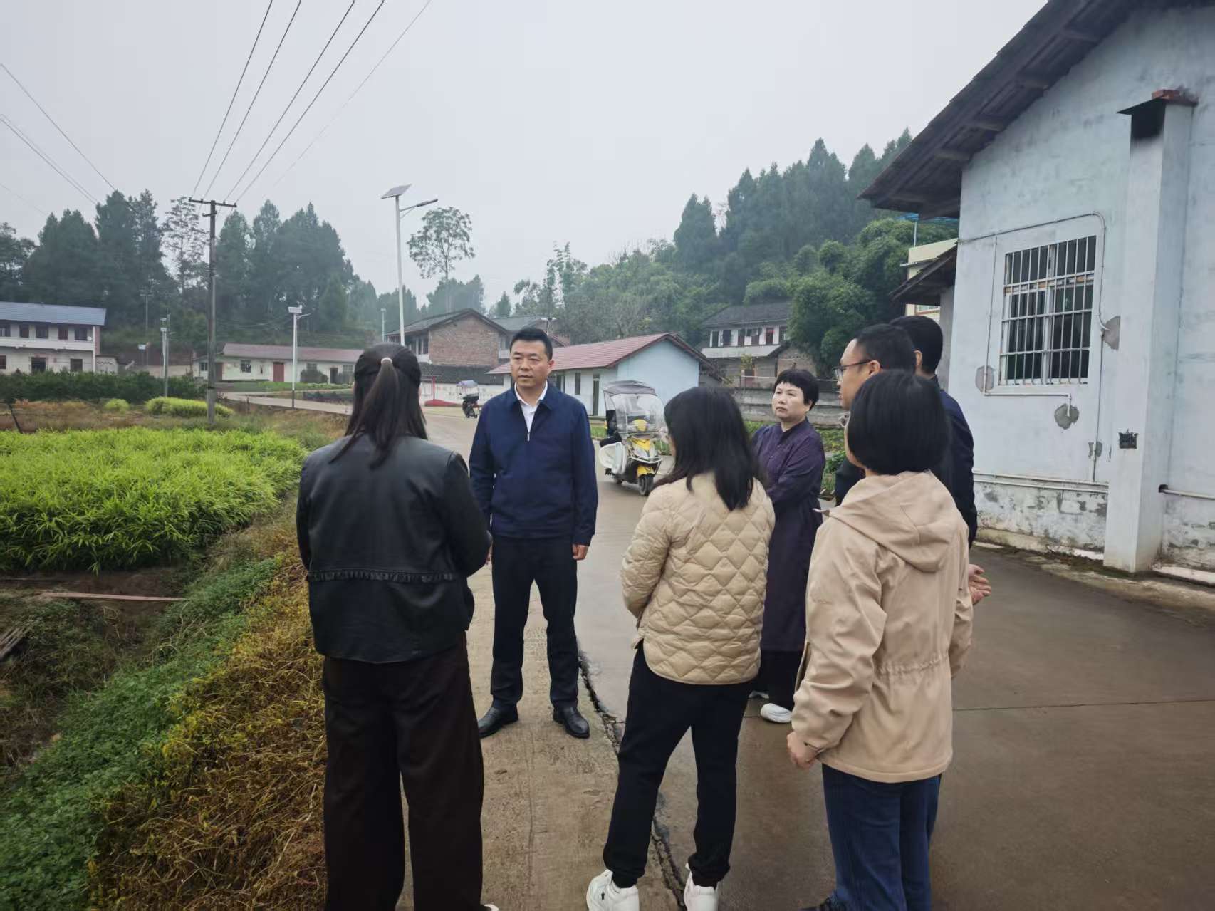 IaDG_1762153896684098823.jpg B2D3D5048646A1A5AAFBFD1872F414E6.jpg