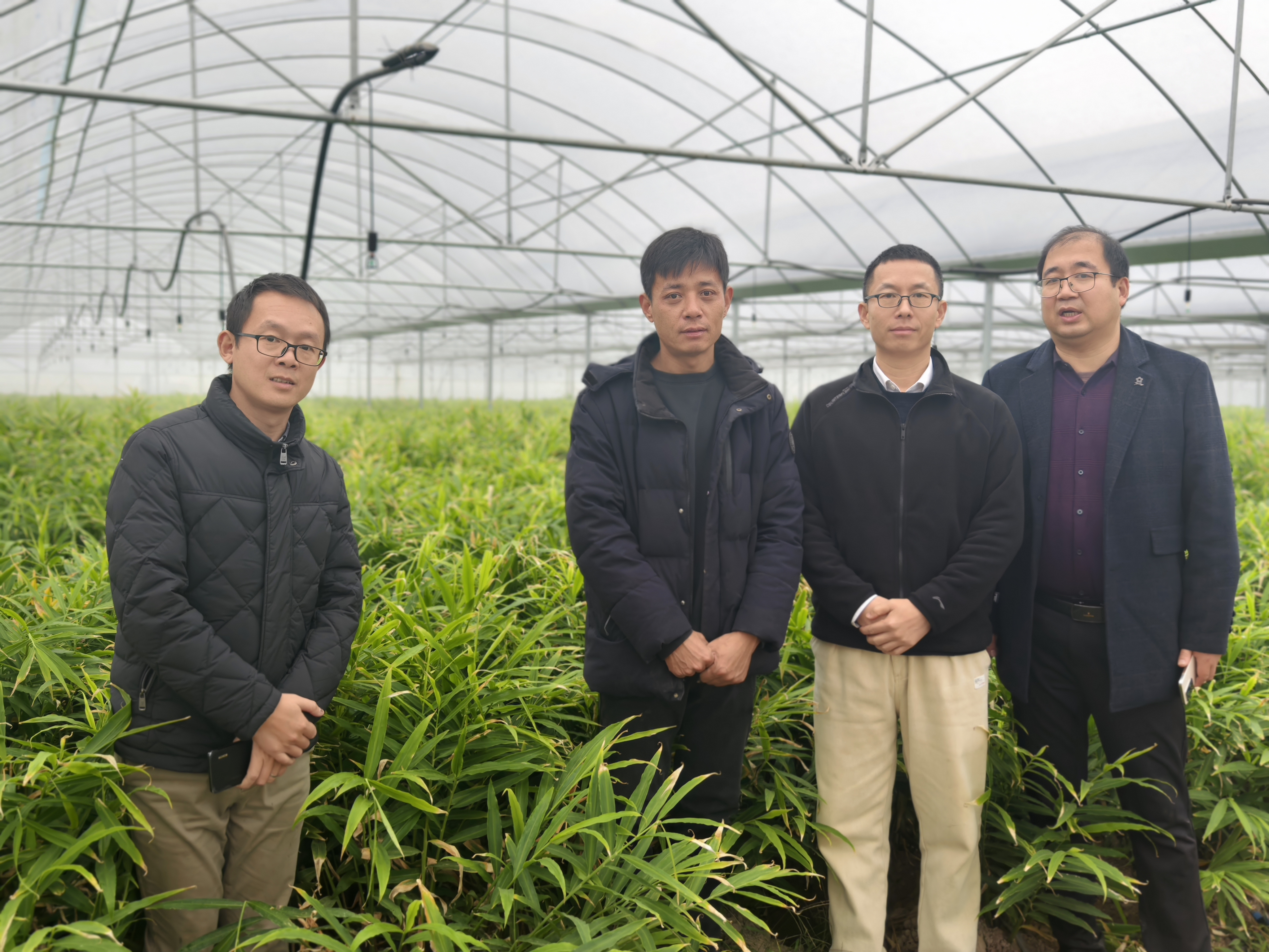 iGTt_1765415726251097045.jpg 图片3.jpg