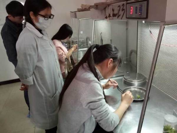 1498459377404035609.jpg Cache_634e8e643d547443..jpg