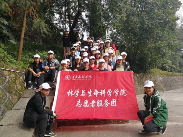 1509948784118033479.jpg Cache_-5841f5628990b252..jpg