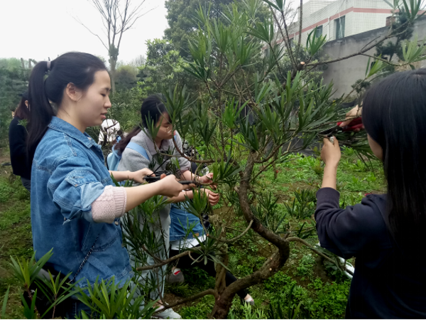 1521427193573049510.png blob.png