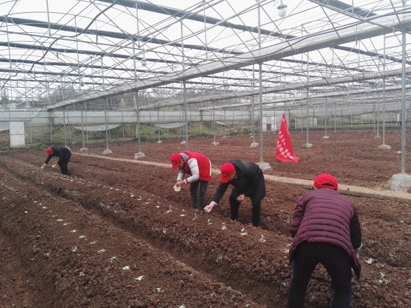 1489454052847039095.jpg IMG_20170311_100208.jpg