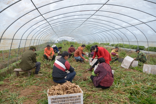 1511843340893068300.jpg DSC_7099.jpg