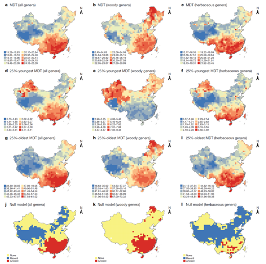 1521006373226026133.png 1.png