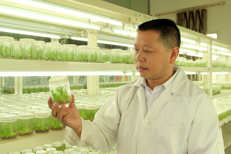 1521173831066095270.jpg 1521104359083001585.jpg