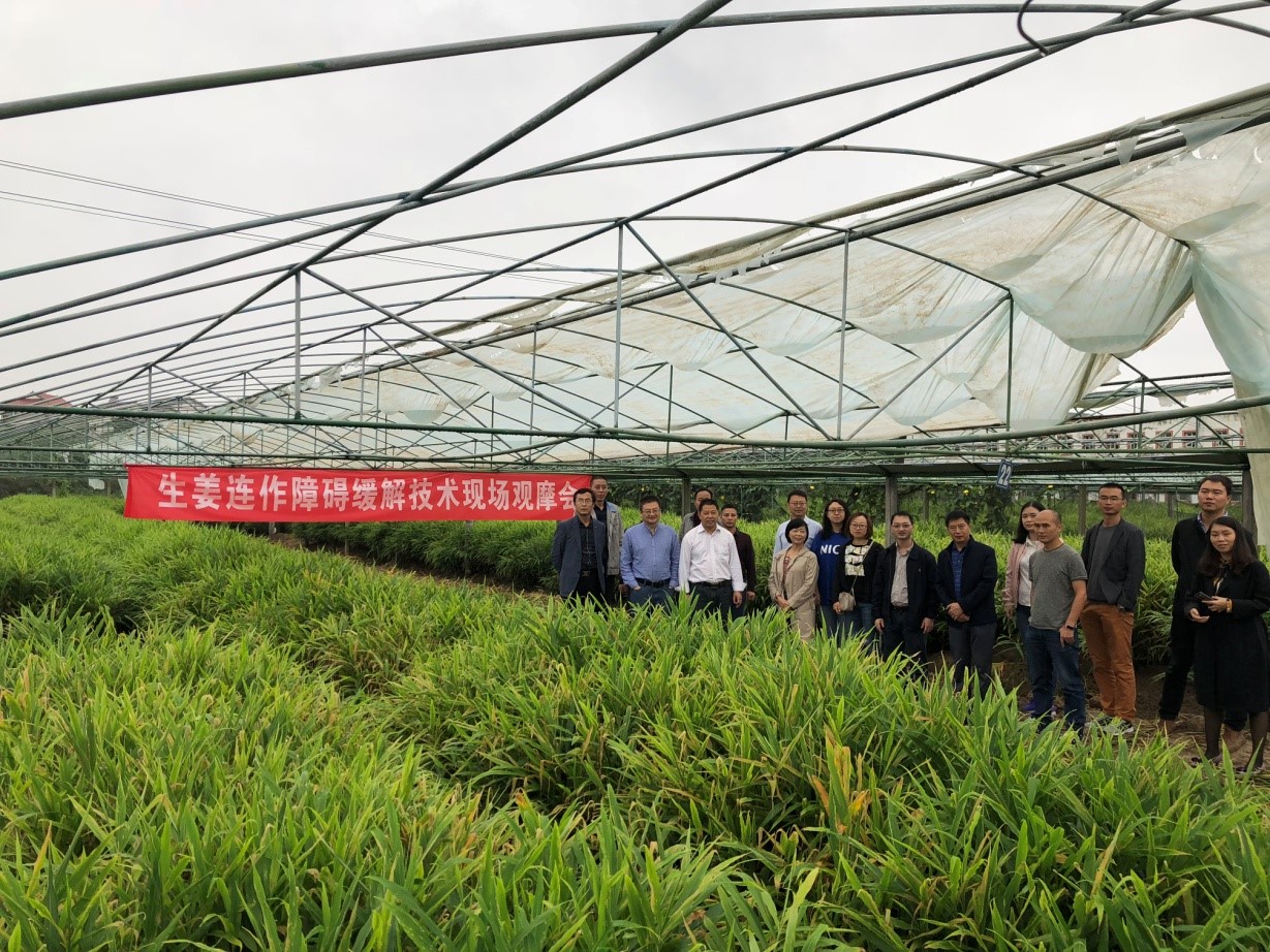 1538194413478090807.jpg 1538194413478090807.jpg