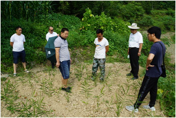 1547428673304044908.png image.png