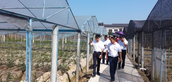 1496884732438029258.jpg IMG_20170607_095020.jpg