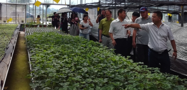 1496884937682015375.jpg IMG_20170607_100612.jpg